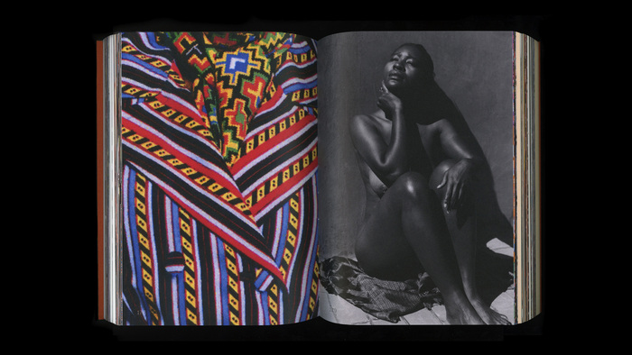 Duro Olowu: Seeing by Naomi Beckwith 3