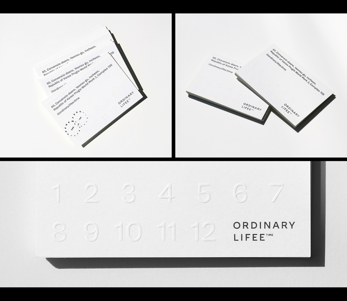 Ordinary Lifee 3