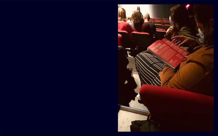 La Montagne Magique 11