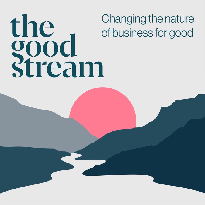 The Good Stream digital identity 2