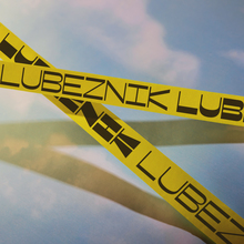 Lubeznik Center for the Arts