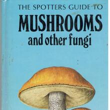 <cite>The Spotters Guide to Mushrooms and Other Fungi</cite> by Aurel Dermek