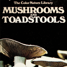 <cite>Mushrooms and Toadstools</cite> by Jacqueline Seymour