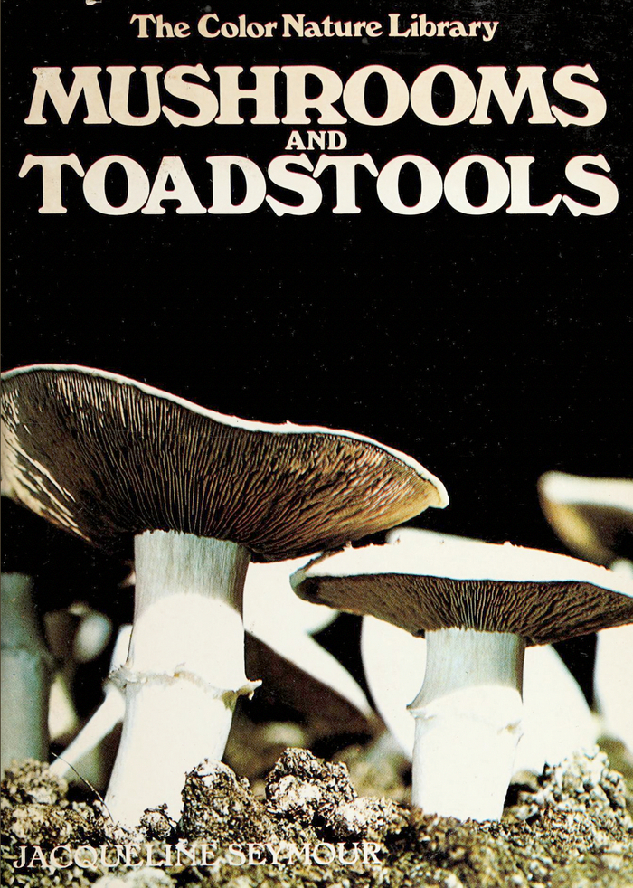 Mushrooms and Toadstools by Jacqueline Seymour 1