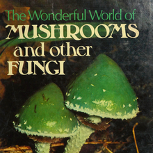 <cite>The Wonderful World of Mushrooms and Other Fungi</cite> by Helen L. Pursey