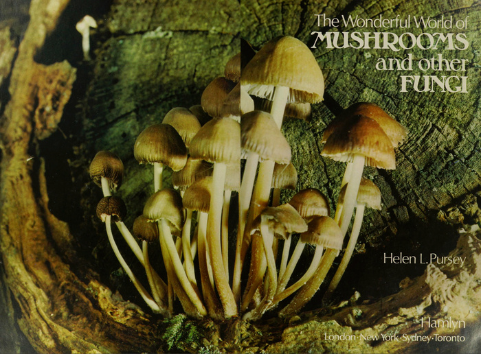 Title page