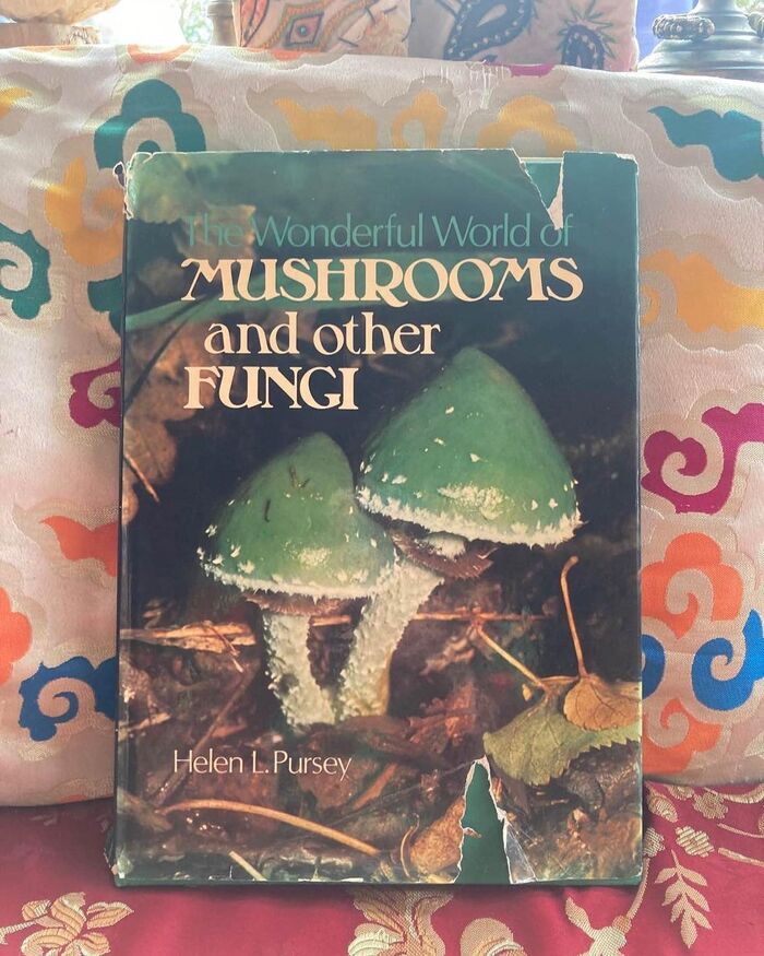 The Wonderful World of Mushrooms and Other Fungi by Helen L. Pursey 3