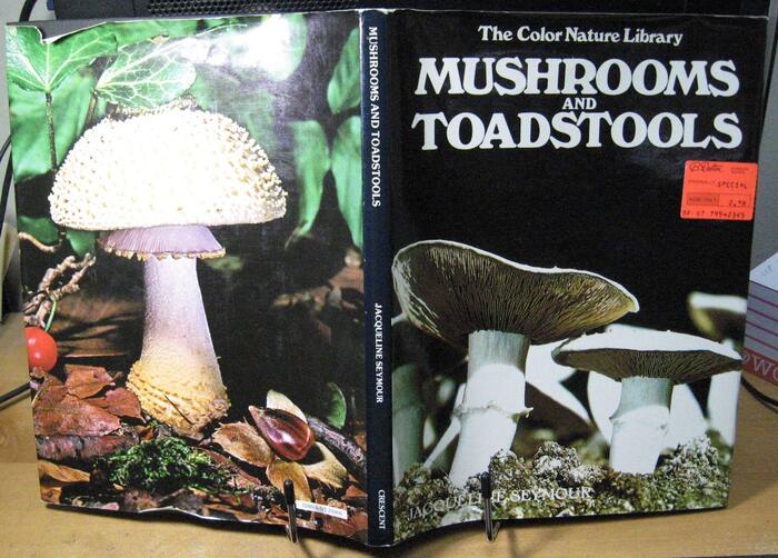 Mushrooms and Toadstools by Jacqueline Seymour 4