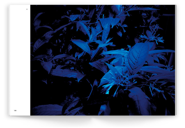 Hicham Berrada for The Light Observer