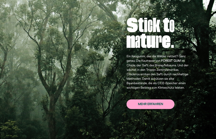 Forest Gum 7