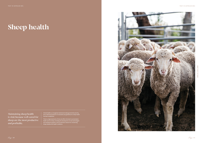 Trust in Australian Wool brochure 6