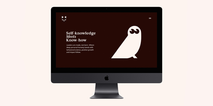 Fox Meets Owl brand identity 5