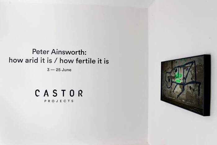 Peter Ainsworth: how arid it is / how fertile it is, 3–25 June 2016