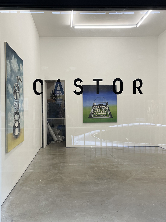 Castor Gallery 2