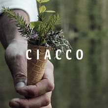 Ciacco Lab visual identity