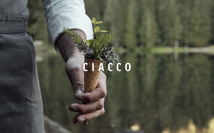 Ciacco Lab visual identity 1