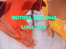Luna Eek – “Mutisia Naranja” music video