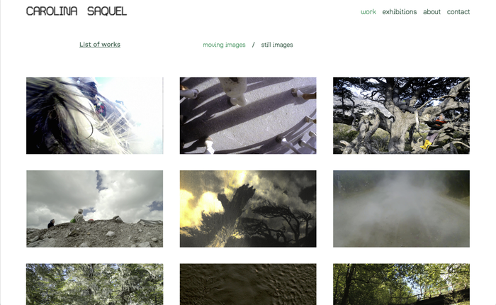 Carolina Saquel portfolio website 3