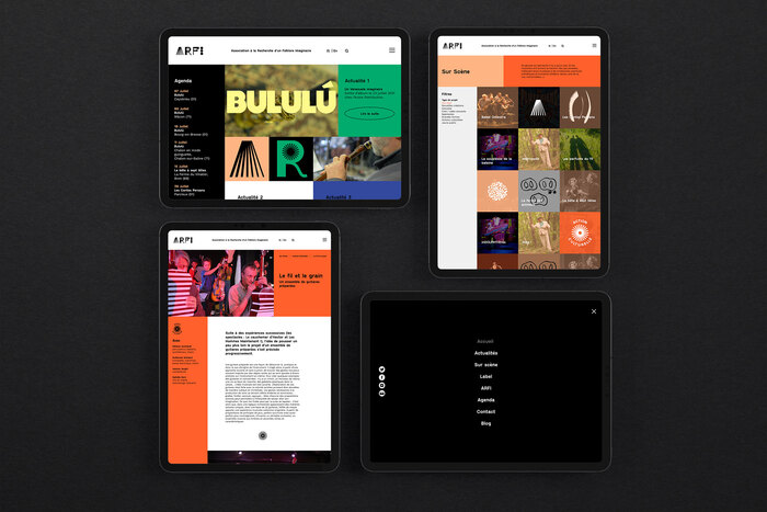 ARFI visual identity and website 4