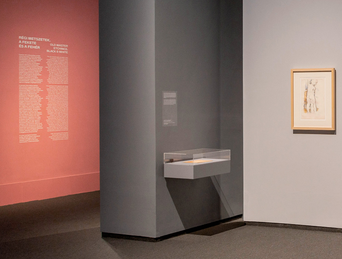 Cezanne to Malevich: Arcadia to Abstraction, Museum of Fine Arts Budapest 9