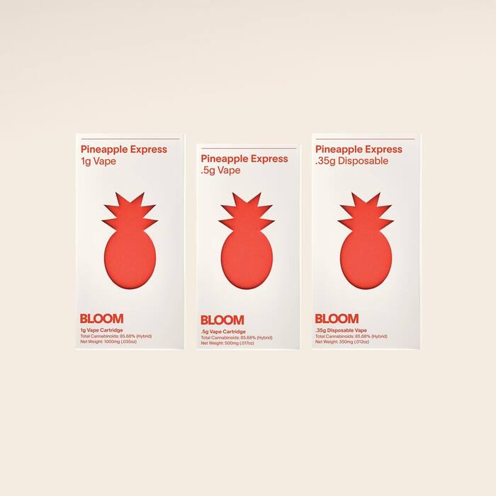 Bloom website and packaging 4