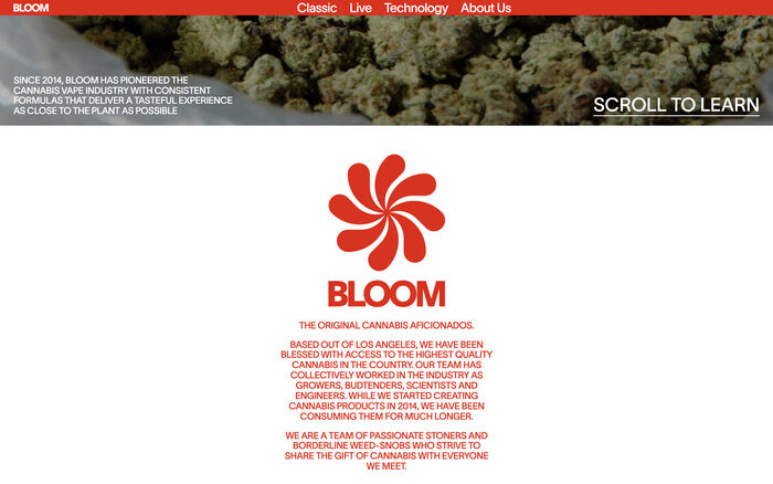 Bloom website and packaging 3