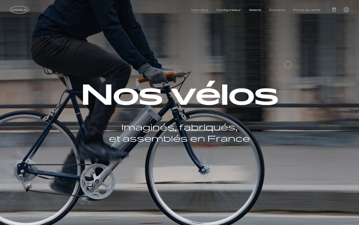 Website