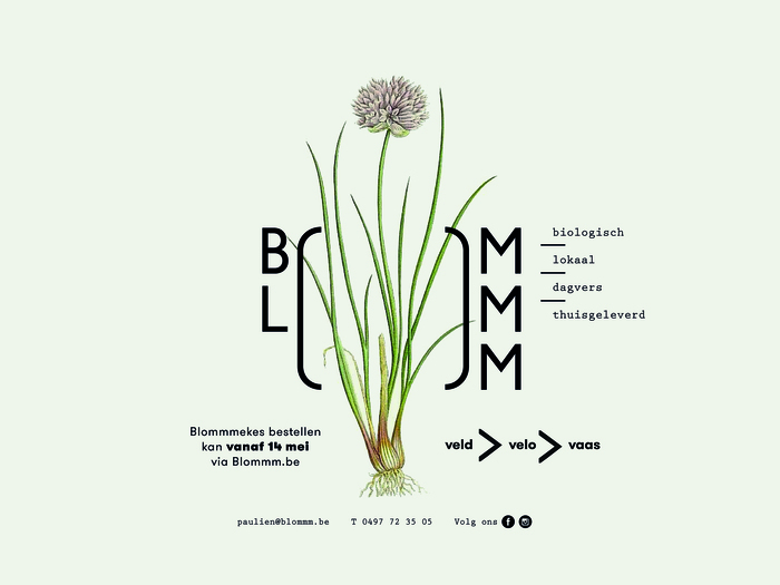 Blommm 5