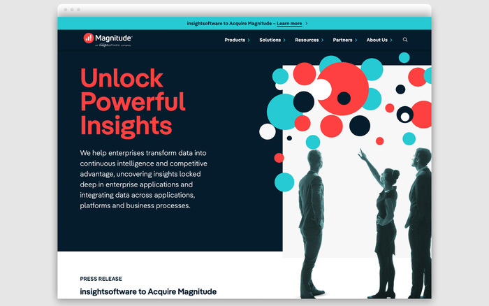 Magnitude branding and website 1