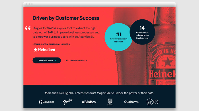 Magnitude branding and website 2