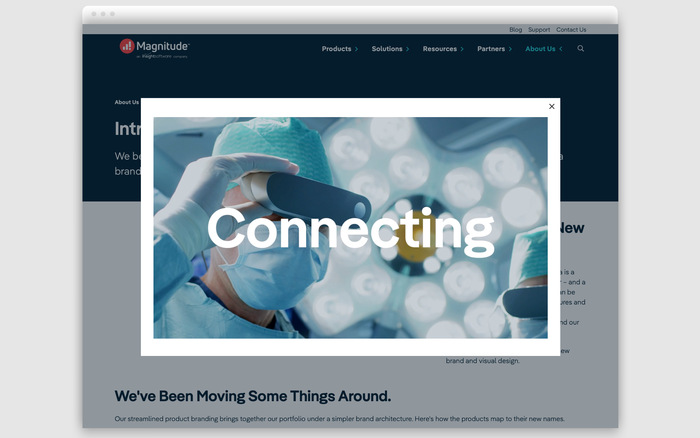Magnitude branding and website 3