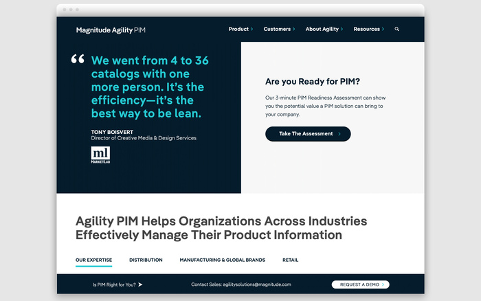 Magnitude branding and website 4