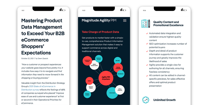 Magnitude branding and website 5