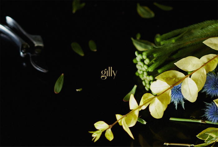 Gilly Flowers 1