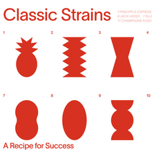 Bloom website and packaging