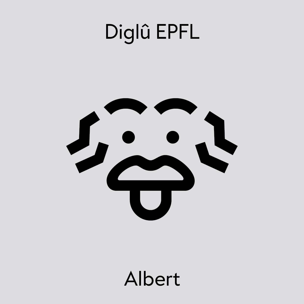 A selection of the custom icons added for Diglû EPFL