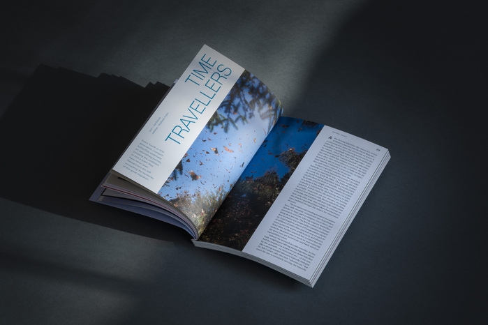 BESIDE magazine, Issue 11 4