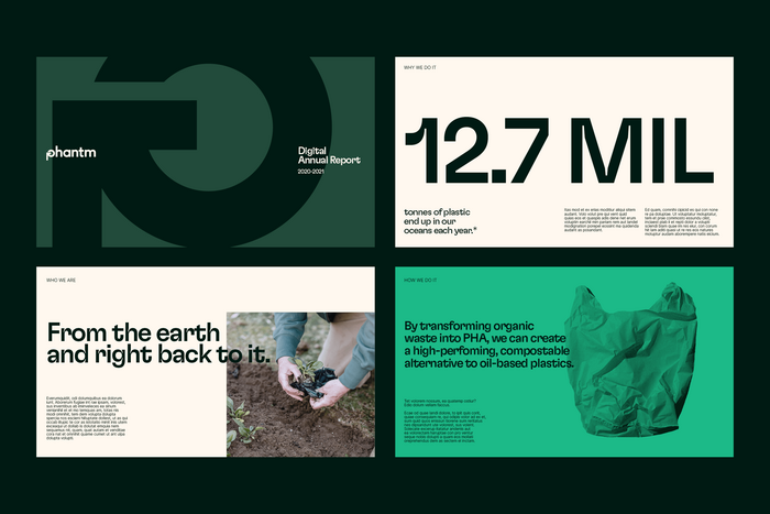 Phantm branding 3