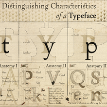 <cite>The Distinguishing Characteristics of a Typeface</cite> wallpaper poster