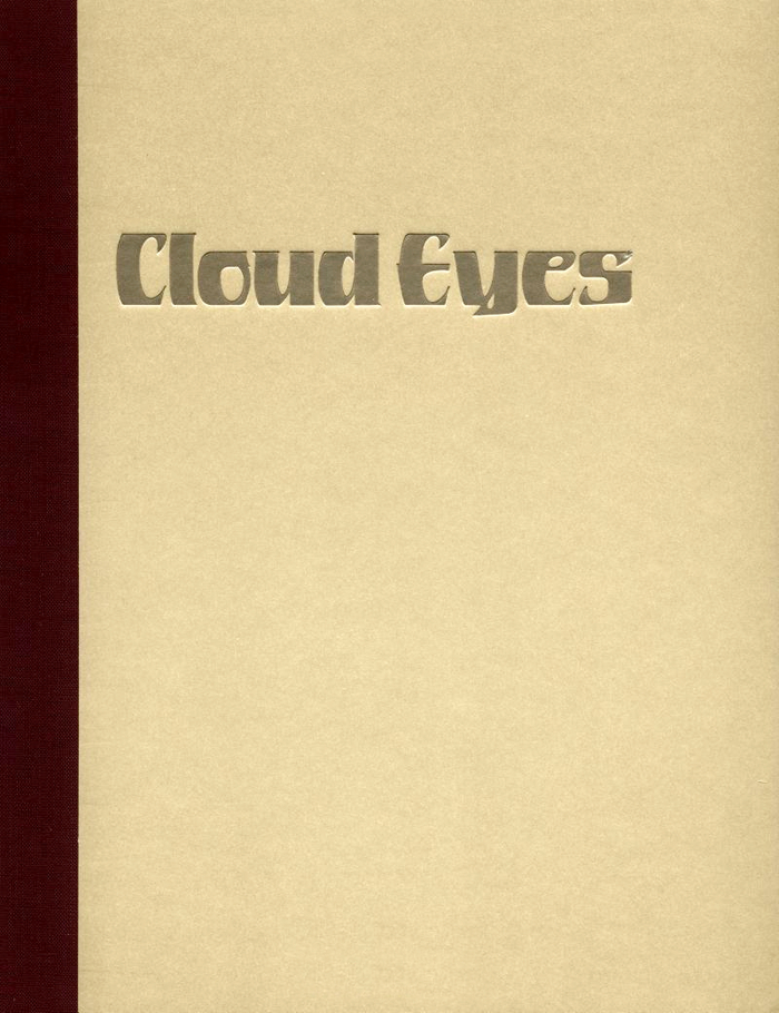 Book cover with foil-stamped title