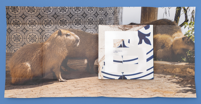 7ª Bolsa Pampulha visual identity 2