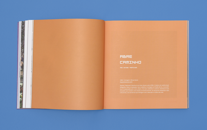 7ª Bolsa Pampulha visual identity 5