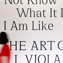 <cite>I Do Not Know What It Is I Am Like: The Art of Bill Viola</cite>