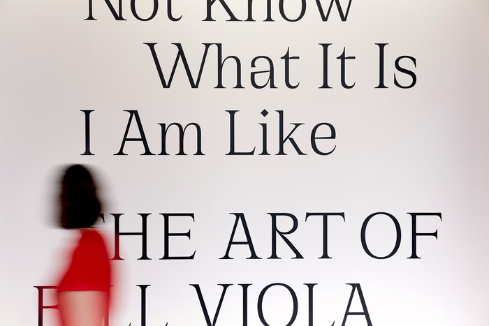Detail image of the title wall for the exhibition I Do Not Know What It Is I Am Like: The Art of Bill Viola at the Barnes Foundation, 2019