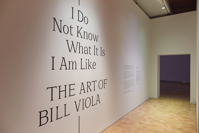 Title and introduction for the exhibition I Do Not Know What It Is I Am Like: The Art of Bill Viola at the Barnes Foundation, 2019