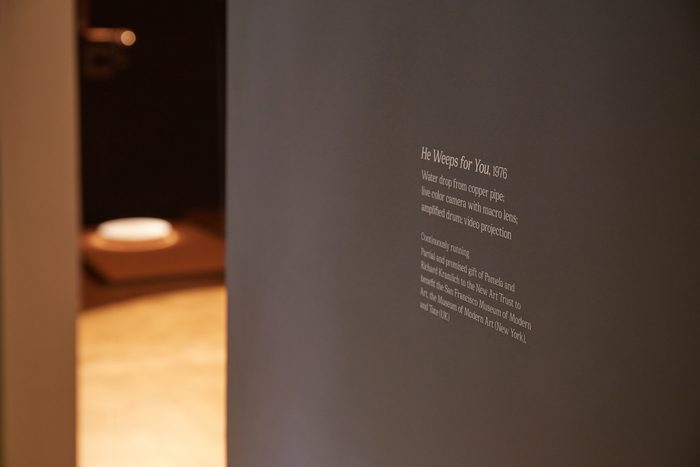 Exhibition wall text for I Do Not Know What It Is I Am Like: The Art of Bill Viola photographed in situ at the Barnes Foundation, 2019