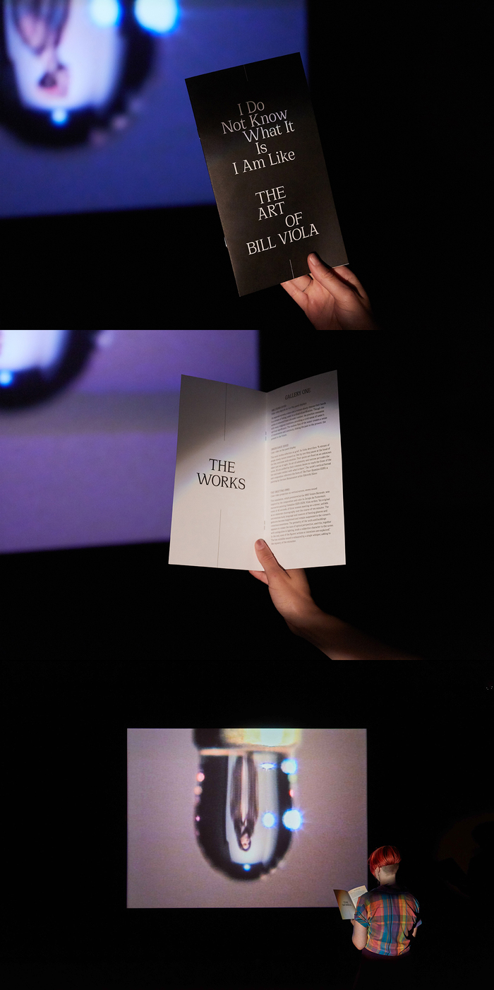 Exhibition brochure for I Do Not Know What It Is I Am Like: The Art of Bill Viola photographed in situ at the Barnes Foundation, 2019