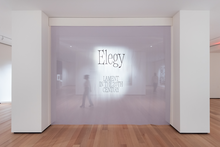 <cite>Elegy: Lament in the 20th Century</cite>, Philadelphia Museum of Art