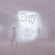 <cite>Elegy: Lament in the 20th Century</cite>, Philadelphia Museum of Art