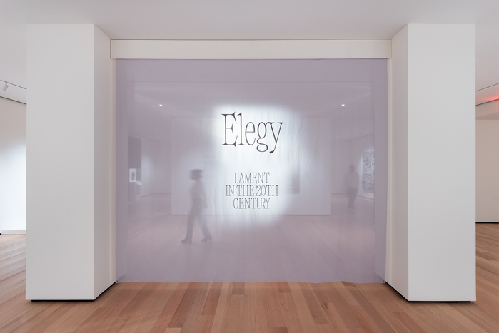 Elegy: Lament in the 20th Century, Philadelphia Museum of Art 1